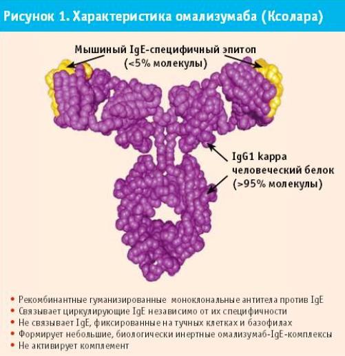 Течение микробной экземы