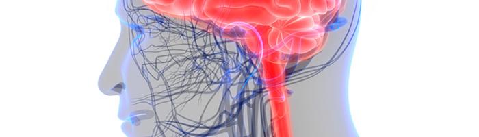 Вопросы совершенствования ведения пациентов с диагнозом «хроническая ишемия головного мозга Вопросы совершенствования ведения пациентов с диагнозом «хроническая ишемия головного мозга