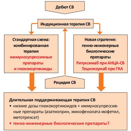 Принципиальная схема терапии Принципиальная схема терапии
